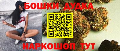 сатива Бийск