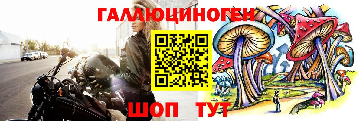 Галлюциногенные грибы Psilocybine cubensis  Вход с VPN  Гуково 